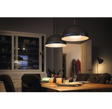 Esszimmer mit Holztisch und zwei Hängelampen