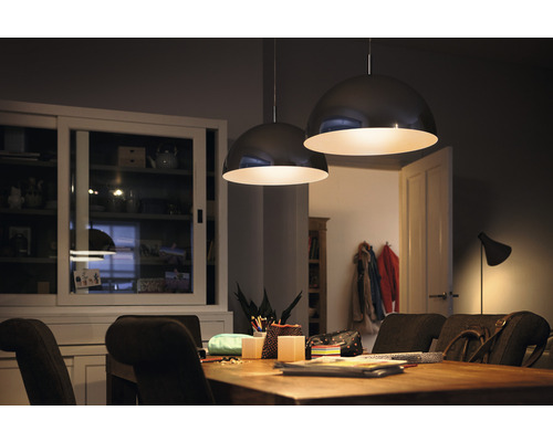 Esszimmer mit Holztisch und zwei Hängelampen