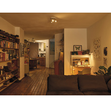 Wohnzimmeransicht mit Bücherregal, Schreibtisch und Holzboden