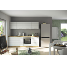 Moderne Küche mit weißen Schränken, Spüle, Herd, Backofen und Kühlschrank.