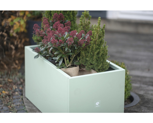 Rechteckiger Pflanzkasten aus Metall mit Pflanzen