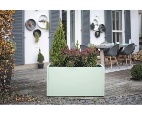 Szene mit einem rechteckigen Pflanzkasten mit Pflanzen im Gartenbereich