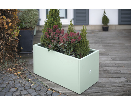 Rechteckiger Pflanzkasten mit Pflanzen auf einer Terrasse