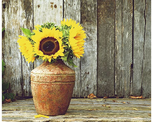 Infrarot Bildheizung Heat4All Motive 15273155 120x80 cm 1000 Watt Sonnenblumen in einer Vase vor Holzwand