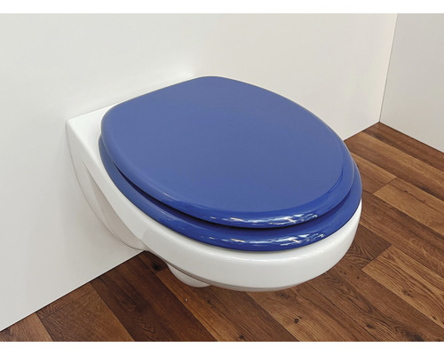 Wand-WC mit blauem WC-Sitz