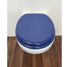 Geschlossene Toilettenschüssel mit Deckel