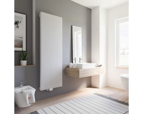 Modernes Badezimmer mit Heizkörper, Waschtisch, Spiegel, Bidet und Teppich