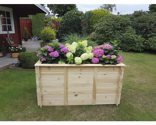 Holzblumenkasten mit Hortensien im Garten