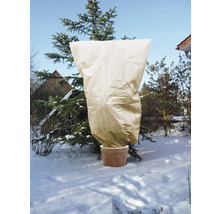 Eingepflanzter Baum mit Winterschutzsack im Schnee
