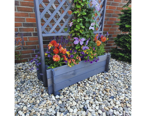 Blumenkasten mit Rankgitter und verschiedenen Blumen