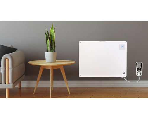 Szene mit einer Heizung an der Wand, einem Tisch mit einer Pflanze und einem Sofa