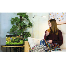 Wohnzimmer mit Aquarium, Stehlampe und Zimmerpflanze neben einer Frau auf einem Sofa