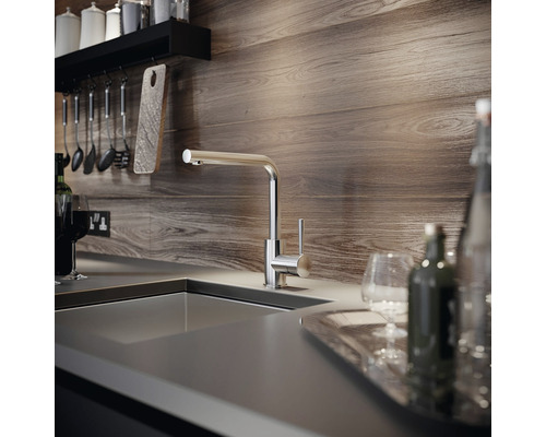 Küchenszene mit Spültischarmatur, Spüle und Holzwand