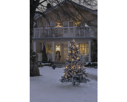 Winterliche Szene mit beleuchtetem Weihnachtsbaum vor einem Haus