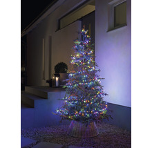 Weihnachtsbaum mit mehrfarbiger Lichterkette im Außenbereich