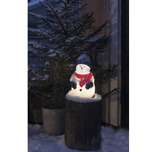 Leuchtender Schneemann mit Mütze und Schal auf einem Baumstumpf, umgeben von einem schneebedeckten Tannenbaum.