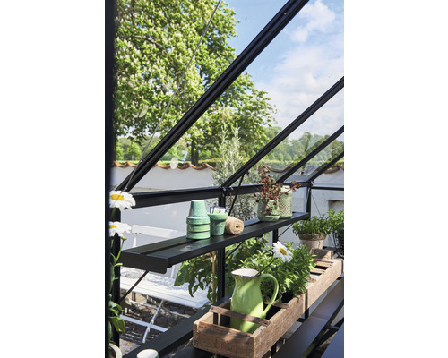 Innenansicht eines Gewächshauses mit Regalen, auf denen Pflanzen und Dekorationen stehen