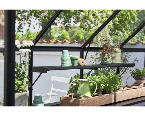 Gewächshaus-Interieur mit Regalen, Töpfen und Pflanzen