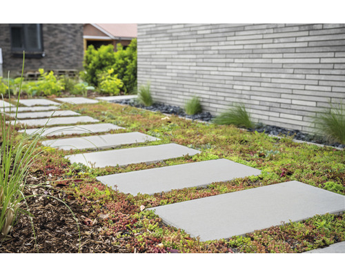 Beton Terrassenplatte zementgrau mit Fase 60 cm x 30 cm x 4 cm