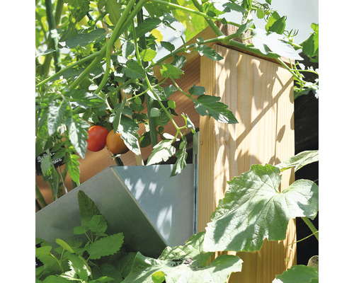 Detailaufnahme eines Hochbeets mit verschiedenen Pflanzen und Tomaten