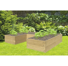 Zwei erhöhte Gartenbeete aus Holz mit Pflanzen im Garten.