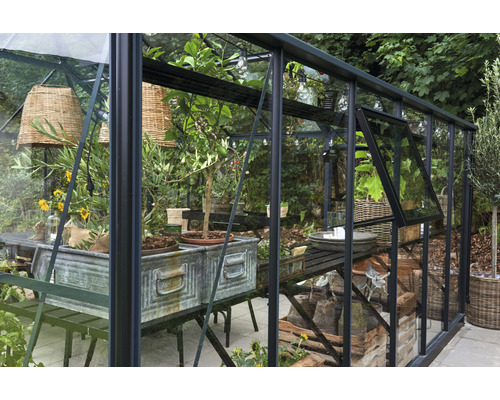 Gewächshaus mit Pflanzen und Gartendekorationen.