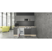 Kompakte Küchenzeile mit Elektrogeräten, inklusive Kühlschrank, Geschirrspüler und Mikrowelle.