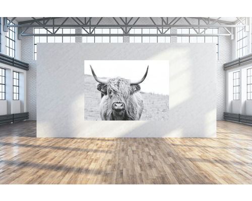 Wandtuch Büffel 224x160 cm