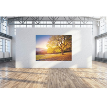 Fototapete mit Baum-Motiv in einem hellen Raum.