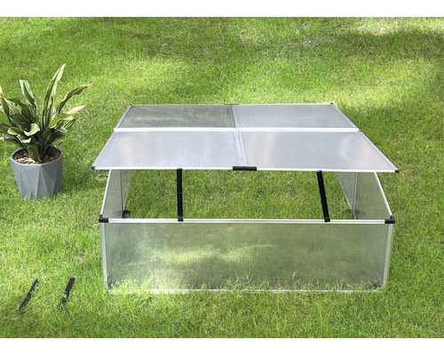 Kleines Gewächshaus mit Pflanze auf Rasen