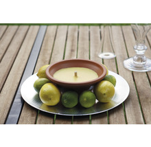 Dekorative Zitronenkerze in Schale auf einem Tisch