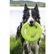 Ein Hund hält einen Frisbee im Maul.