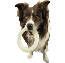 Hundespielzeug Kiwi Walker Ring 17,5 x 17,5 cm farblos leuchtet im Dunkeln