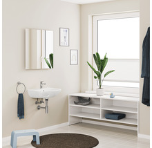 Badezimmer mit Waschbecken, Spiegelschrank, Fensterregal, Trittschemel und runder Matte