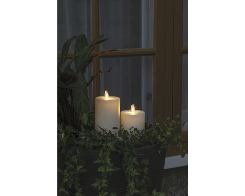 Zwei LED-Echtwachskerzen im Pflanzgefäß mit Grünpflanzen