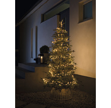 Weihnachtsbaum mit Lichterkette vor einem Haus