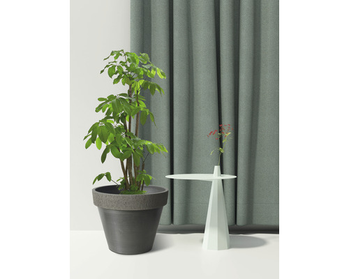 Dekoratives Ambiente mit Vorhang, Pflanze und Tisch