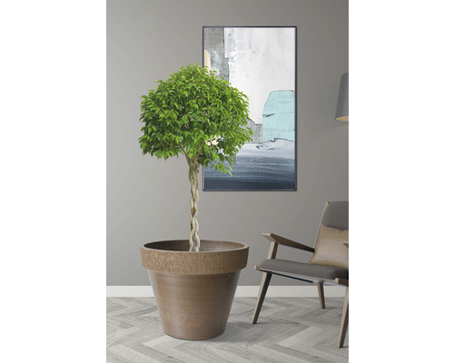 Dekorativer Baum im Topf neben einem Stuhl und einem gerahmten Bild