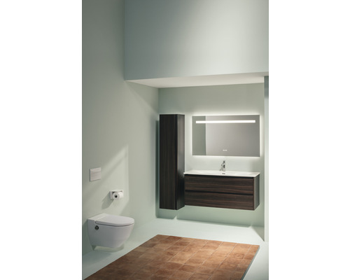 Modernes Badezimmer mit Toilette, Waschtisch mit Unterschrank, Spiegelschrank und Hochschrank.