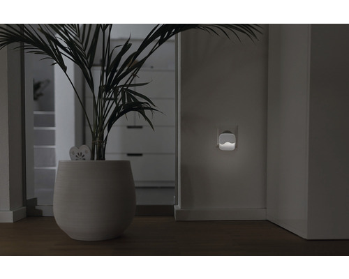 Nachtlicht in einem Flur neben einer Zimmerpflanze in einem Topf.