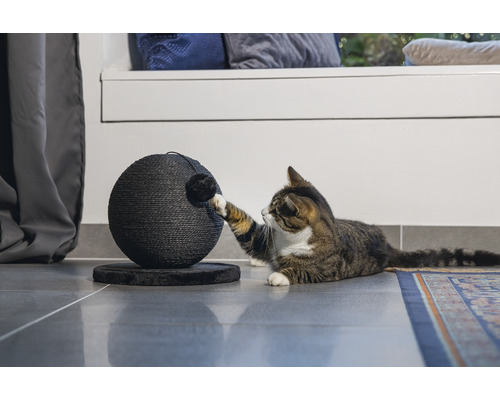 Katze spielt mit einem runden Kratzbaum auf einem Fliesenboden.