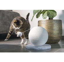 Katze spielt mit einem Kratzball und einer Spielzeugmaus auf einer runden Plattform