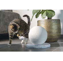 Katze spielt mit einem Kratzball und einem Spielzeugball
