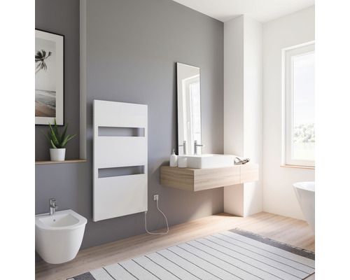 Modernes Badezimmer mit Heizkörper, Waschtisch und Bidet für eine helle und organisierte Atmosphäre.