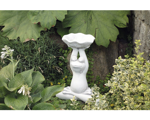 Frosch Gartenfigur mit Vogeltränke im Garten