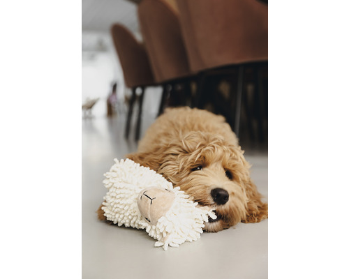 Ein Welpe liegt mit einem Stofftierspielzeug auf dem Boden.