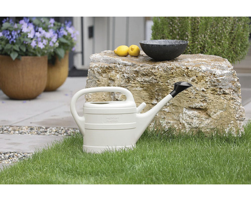 Gießkanne aus Kunststoff auf Rasen vor Stein mit Zitrone und Schale