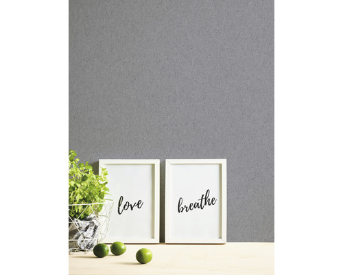 Dekorative Szene mit den Worten Liebe und Atmen in Rahmen, Topfpflanze und Limetten