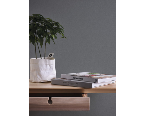 Dekorative Zimmerpflanze in Papierhülle auf einem Schreibtisch mit Büchern