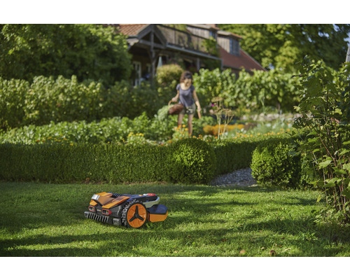 Rasenroboter im Einsatz in einem Garten mit Hecken und einem Haus im Hintergrund.
